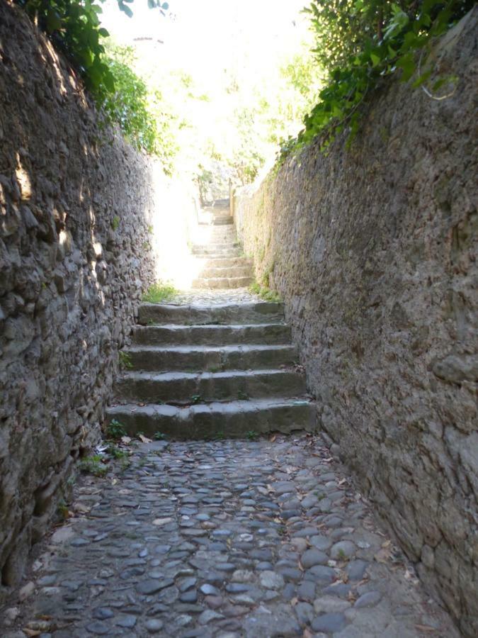 De La Cité Hébergement de vacances Carcassonne